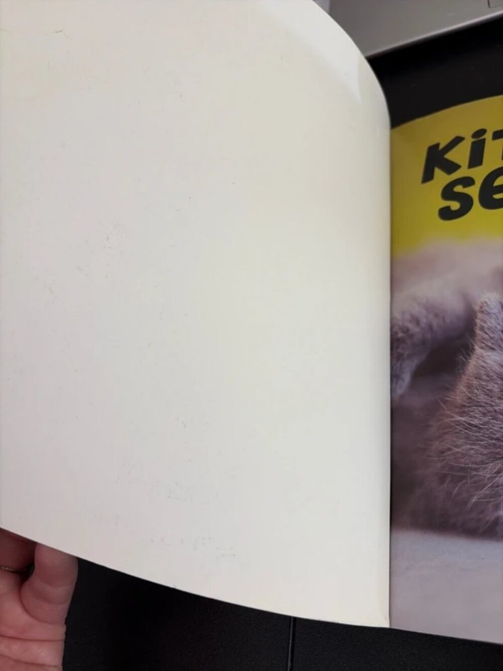 Kitty secrets - Picture 3 of 5